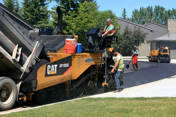 Best Custom Driveway Pavers  in Royal Palm Beach, FL
